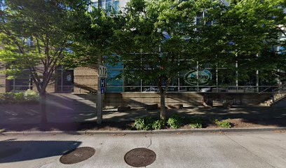 Negocio Heating & Air Conditioning Services Bellevue